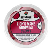 Mushroom Bakehouse Lion's Mane Gummies Orange 200mg Mushroom Extract